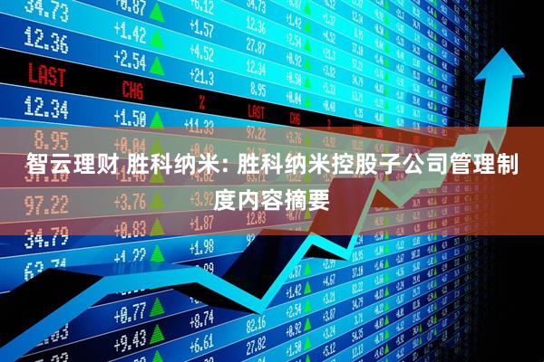 智云理财 胜科纳米: 胜科纳米控股子公司管理制度内容摘要