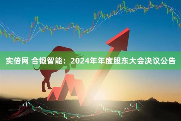 实倍网 合锻智能：2024年年度股东大会决议公告