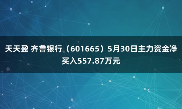 天天盈 齐鲁银行（601665）5月30日主力资金净买入557.87万元