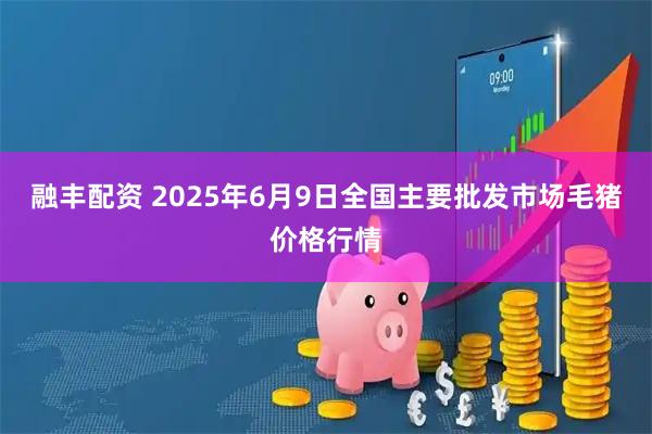 融丰配资 2025年6月9日全国主要批发市场毛猪价格行情