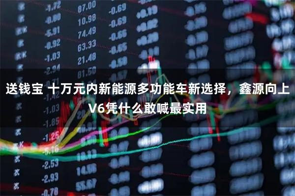 送钱宝 十万元内新能源多功能车新选择，鑫源向上V6凭什么敢喊最实用