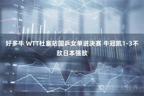 好多牛 WTT杜塞站国乒女单进决赛 牛冠凯1-3不敌日本强敌